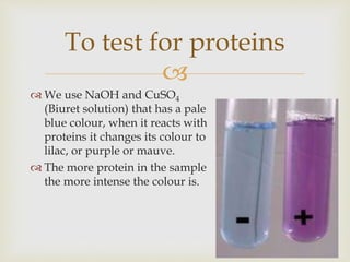 
 We use NaOH and CuSO4
(Biuret solution) that has a pale
blue colour, when it reacts with
proteins it changes its colour to
lilac, or purple or mauve.
 The more protein in the sample
the more intense the colour is.
To test for proteins
 