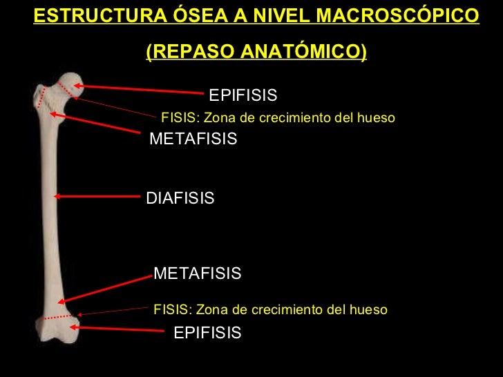 5 Biomecanica Del Hueso