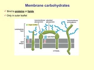 Biomembrane System 5_Biomembranes.pdf
