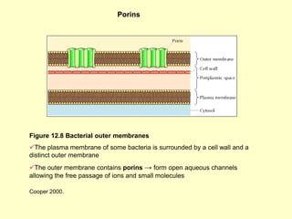 Biomembrane System 5_Biomembranes.pdf