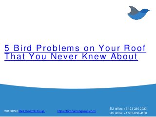 5 Bird Problems on Your Roof
That You Never Knew About
20180228 Bird Control Group https://birdcontrolgroup.com/
EU office: +31 23 230 2030
US office: +1 503-850-4138
 