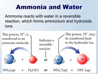 Ammonia and Water
Ammonia reacts with water in a reversible
reaction, which forms ammonium and hydroxide
ions.
 
