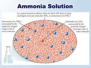 Ammonia Solution
 