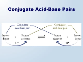 Conjugate Acid-Base Pairs
 