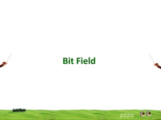 Bit Field