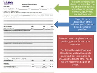 Safe Animal Handling Part 1 | PPTX