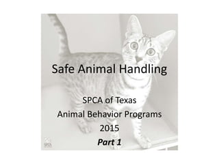 Safe Animal Handling
SPCA of Texas
Animal Behavior Programs
2015
Part 1
 