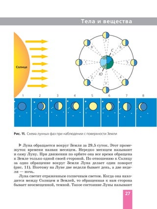 Тела и вещества
Луна обращается вокруг Земли за 29,5 суток. Этот проме-
жуток времени назван месяцем. Нередко месяцем называют
и саму Луну. При движении по орбите она все время обращена
к Земле только одной своей стороной. По отношению к Солнцу
за одно обращение вокруг Земли Луна делает один поворот
(рис. 11). Поэтому на Луне две недели бывает день, а две неде-
ли — ночь.
Луна светит отраженным солнечным светом. Когда она нахо-
дится между Солнцем и Землей, то обращенная к нам сторона
бывает неосвещенной, темной. Такое состояние Луны называют
Рис. 11. Схема лунных фаз при наблюдении с поверхности Земли
1
8
7
6
5
4
3
2
С
Ю
1
Солнце
2 3 4 5 6 7 8
27
 