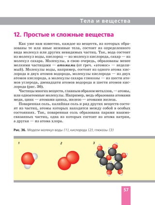 Тела и вещества
Как уже нам известно, каждое из веществ, из которых обра-
зованы те или иные неживые тела, состоит из определенного
вида молекул или других невидимых частиц. Так, вода состоит
из молекул воды, кислород — из молекул кислорода, сахар — из
молекул сахара. Молекулы, в свою очередь, образованы менее
мелкими частицами — атомами (от греч. «атомос» — недели-
мый). Молекулы воды, например, состоят из одного атома кис-
лорода и двух атомов водорода, молекулы кислорода — из двух
атомов кислорода, а молекулы сахара глюкозы — из шести ато-
мов углерода, двенадцати атомов водорода и шести атомов кис-
лорода (рис. 36).
Частицымногихвеществ,главнымобразомметаллов,—атомы,
или одноатомные молекулы. Например, медь образована атомами
меди, цинк — атомами цинка, железо — атомами железа.
Поваренная соль, калийная соль и ряд других веществ состо-
ят из частиц, атомы которых находятся между собой в особых
состояниях. Так, поваренная соль образована парами взаимо-
связанных частиц, одна из которых состоит из атома натрия,
а другая — из атома хлора.
12. Простые и сложные вещества
Рис. 36. Модели молекул воды (1), кислорода (2), глюкозы (3)
21 3
57
 