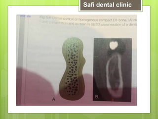 Safi dental clinic
 