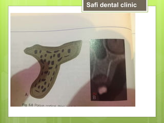 Safi dental clinic
 