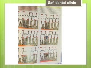 Safi dental clinic
 