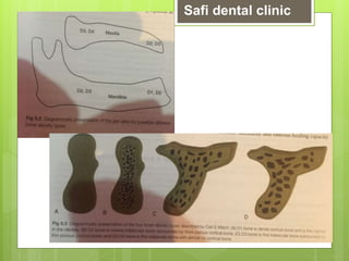 Safi dental clinic
 