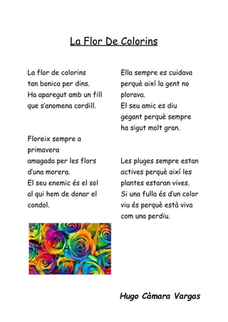 La Flor De Colorins
La flor de colorins
tan bonica per dins.
Ha aparegut amb un fill
que s’anomena cordill.
Floreix sempre a
primavera
amagada per les flors
d’una morera.
El seu enemic és el sol
al qui hem de donar el
condol.
Ella sempre es cuidava
perquè així la gent no
plorava.
El seu amic es diu
gegant perquè sempre
ha sigut molt gran.
Les pluges sempre estan
actives perquè així les
plantes estaran vives.
Si una fulla és d’un color
viu és perquè està viva
com una perdiu.
Hugo Càmara Vargas
 
