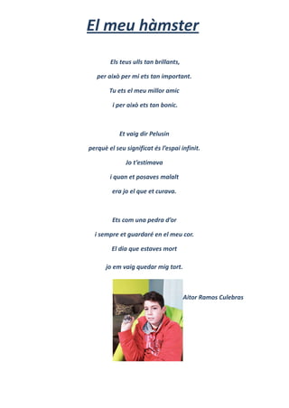 El meu hàmster
Els teus ulls tan brillants,
per això per mi ets tan important.
Tu ets el meu millor amic
i per això ets tan bonic.
Et vaig dir Pelusin
perquè el seu significat és l’espai infinit.
Jo t’estimava
i quan et posaves malalt
era jo el que et curava.
Ets com una pedra d’or
i sempre et guardaré en el meu cor.
El dia que estaves mort
jo em vaig quedar mig tort.
Aitor Ramos Culebras
 