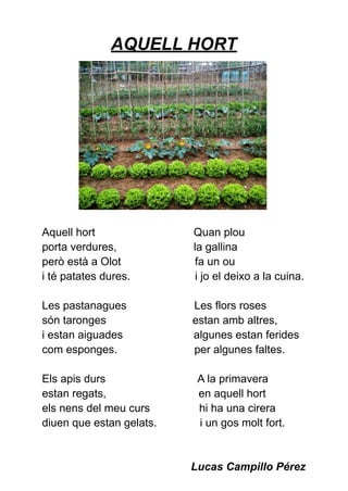 AQUELL HORT
Aquell hort Quan plou
porta verdures, la gallina
però està a Olot fa un ou
i té patates dures. i jo el deixo a la cuina.
Les pastanagues Les flors roses
són taronges estan amb altres,
i estan aiguades algunes estan ferides
com esponges. per algunes faltes.
Els apis durs A la primavera
estan regats, en aquell hort
els nens del meu curs hi ha una cirera
diuen que estan gelats. i un gos molt fort.
Lucas Campillo Pérez
 