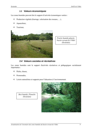 Sivalodet

SAGE de l’Odet

3.3

Valeurs économiques

Les zones humides peuvent être le support d’activités économiques variées :
Production végétale (fourrage, valorisation des roseaux, …),
Aquaculture,
Tourisme.

Prairie humide pâturée,
bassin versant de l’Odet
(Sivalodet)

3.4 Valeurs sociales et récréatives
Les zones humides sont le support d'activités récréatives et pédagogiques socialement
importantes :
Pêche, chasse,
Promenades,
Loisirs naturalistes et supports pour l’éducation à l’environnement.

Bois humide, Plomelin
(Sivalodet)

Actualisation de l’inventaire des zones humides du bassin versant de l’Odet

9

 