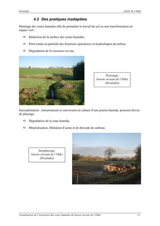 Sivalodet

SAGE de l’Odet

4.2 Des pratiques inadaptées
Drainage des zones humides afin de permettre le travail du sol ou une transformation en
espace vert :
Réduction de la surface des zones humides,
Perte totale ou partielle des fonctions épuratrices et hydrauliques du milieu,
Dégradation de la ressource en eau.

Drainage,
bassin versant de l’Odet
(Sivalodet)

Surexploitation : retournement et conversion en culture d’une prairie humide, pression élevée
de pâturage :
Dégradation de la zone humide,
Minéralisation, libération d’azote et de dioxyde de carbone.

Surpâturage,
bassin versant de l’Odet
(Sivalodet)

Actualisation de l’inventaire des zones humides du bassin versant de l’Odet

11

 