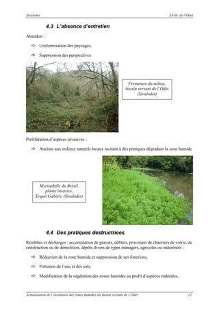 Sivalodet

SAGE de l’Odet

4.3 L’absence d’entretien
Abandon :
Uniformisation des paysages,
Suppression des perspectives.

Fermeture du milieu,
bassin versant de l’Odet
(Sivalodet)

Prolifération d’espèces invasives :
Atteinte aux milieux naturels locaux incitant à des pratiques dégradant la zone humide

Myriophille du Brésil,
plante invasive,
Ergué-Gabéric (Sivalodet)

4.4 Des pratiques destructrices
Remblais et décharges : accumulation de gravats, déblais, provenant de chantiers de voirie, de
construction ou de démolition, dépôts divers de types ménagers, agricoles ou industriels :
Réduction de la zone humide et suppression de ses fonctions,
Pollution de l’eau et des sols,
Modification de la végétation des zones humides au profit d’espèces rudérales.

Actualisation de l’inventaire des zones humides du bassin versant de l’Odet

12

 
