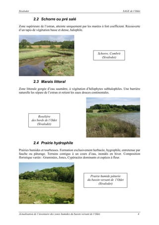 Sivalodet

SAGE de l’Odet

2.2 Schorre ou pré salé
Zone supérieure de l’estran, atteinte uniquement par les marées à fort coefficient. Recouverte
d’un tapis de végétation basse et dense, halophile.

Schorre, Combrit
(Sivalodet)

2.3 Marais littoral
Zone littorale gorgée d’eau saumâtre, à végétation d’hélophytes subhalophiles. Une barrière
naturelle les sépare de l’estran et retient les eaux douces continentales.

Roselière
des bords de l’Odet
(Sivalodet)

2.4 Prairie hydrophile
Prairies humides et tourbeuses. Formation exclusivement herbacée, hygrophile, entretenue par
fauche ou pâturage. Terrains contigus à un cours d’eau, inondés en hiver. Composition
floristique variée : Graminées, Joncs, Cypéracées dominants et espèces à fleur.

Prairie humide pâturée
du bassin versant de l’Odet
(Sivalodet)

Actualisation de l’inventaire des zones humides du bassin versant de l’Odet

4

 