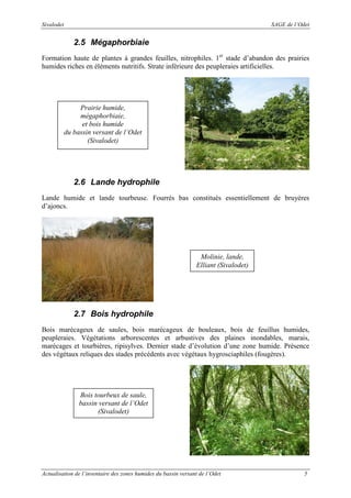 Sivalodet

SAGE de l’Odet

2.5 Mégaphorbiaie
Formation haute de plantes à grandes feuilles, nitrophiles. 1er stade d’abandon des prairies
humides riches en éléments nutritifs. Strate inférieure des peupleraies artificielles.

Prairie humide,
mégaphorbiaie,
et bois humide
du bassin versant de l’Odet
(Sivalodet)

2.6 Lande hydrophile
Lande humide et lande tourbeuse. Fourrés bas constitués essentiellement de bruyères
d’ajoncs.

Molinie, lande,
Elliant (Sivalodet)

2.7 Bois hydrophile
Bois marécageux de saules, bois marécageux de bouleaux, bois de feuillus humides,
peupleraies. Végétations arborescentes et arbustives des plaines inondables, marais,
marécages et tourbières, ripisylves. Dernier stade d’évolution d’une zone humide. Présence
des végétaux reliques des stades précédents avec végétaux hygrosciaphiles (fougères).

Bois tourbeux de saule,
bassin versant de l’Odet
(Sivalodet)

Actualisation de l’inventaire des zones humides du bassin versant de l’Odet

5

 