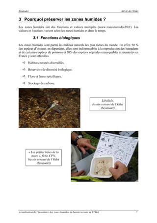 Sivalodet

SAGE de l’Odet

3 Pourquoi préserver les zones humides ?
Les zones humides ont des fonctions et valeurs multiples (www.zoneshumides29.fr). Les
valeurs et fonctions varient selon les zones humides et dans le temps.

3.1 Fonctions biologiques
Les zones humides sont parmi les milieux naturels les plus riches du monde. En effet, 50 %
des espèces d’oiseaux en dépendent, elles sont indispensables à la reproduction des batraciens
et de certaines espèces de poissons et 30% des espèces végétales remarquables et menacées en
France y sont inféodées.
Habitats naturels diversifiés,
Réservoirs de diversité biologique,
Flore et faune spécifiques,
Stockage de carbone.

Libellule,
bassin versant de l’Odet
(Sivalodet)

« Les petites bêtes de la
mare », fiche CPN,
bassin versant de l’Odet
(Sivalodet)

Actualisation de l’inventaire des zones humides du bassin versant de l’Odet

7

 