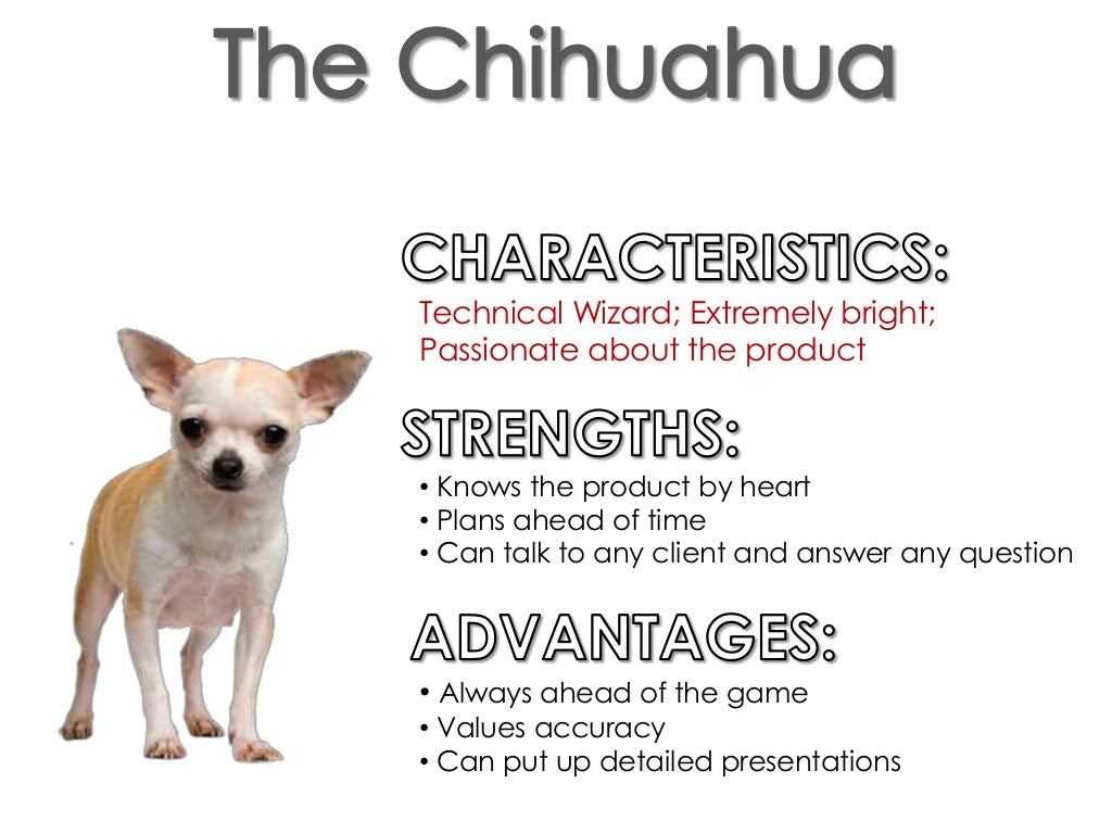 5 breeds of sales dogs