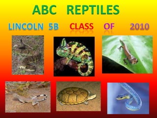 ABC   REPTILES class of LINCOLN  5B 2010 