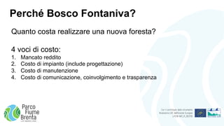 Perché Bosco Fontaniva?
Quanto costa realizzare una nuova foresta?
4 voci di costo:
1. Mancato reddito
2. Costo di impiant...