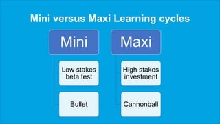 Mini versus Maxi Learning cycles
Mini
Low stakes
beta test
Bullet
Maxi
High stakes
investment
Cannonball
 