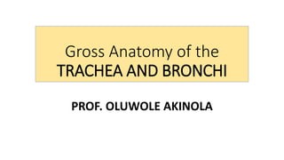 Gross Anatomy of the
TRACHEA AND BRONCHI
PROF. OLUWOLE AKINOLA
 