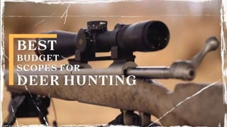 5 Budget Scopes
For Deer Hunting
Under $500
 