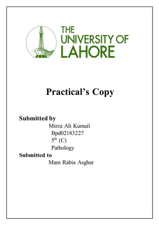 Practical’s Copy
Submitted by
Mirza Ali Kumail
Bpd02183227
5th
(C)
Pathology
Submitted to
Mam Rabia Asghar
 