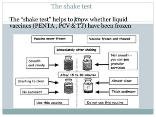 Shake Test 5c - Cold Chain Mx - Epidem II.ppt of vaccines | PPT