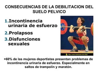 CONSECUENCIAS DE LA DEBILITACION DEL
SUELO PELVICO
1.Incontinencia
urinaria de esfuerzo
2.Prolapsos
3.Disfunciones
sexuales
+60% de las mujeres deportistas presentan problemas de
incontinencia urinaria de esfuerzo. Especialmente en
saltos de trampolín y maratón.
 