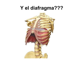 Y el diafragma???
 