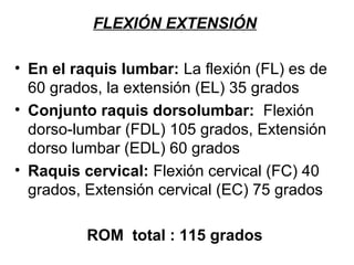 FLEXIÓN EXTENSIÓN
• En el raquis lumbar: La flexión (FL) es de
60 grados, la extensión (EL) 35 grados
• Conjunto raquis dorsolumbar: Flexión
dorso-lumbar (FDL) 105 grados, Extensión
dorso lumbar (EDL) 60 grados
• Raquis cervical: Flexión cervical (FC) 40
grados, Extensión cervical (EC) 75 grados
ROM total : 115 grados
 
