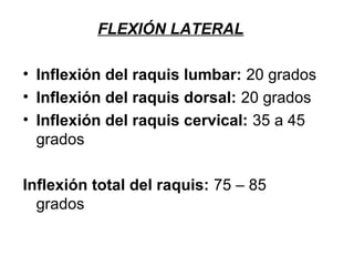 FLEXIÓN LATERAL
• Inflexión del raquis lumbar: 20 grados
• Inflexión del raquis dorsal: 20 grados
• Inflexión del raquis cervical: 35 a 45
grados
Inflexión total del raquis: 75 – 85
grados
 