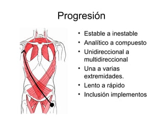 Progresión
• Estable a inestable
• Analítico a compuesto
• Unidireccional a
multidireccional
• Una a varias
extremidades.
• Lento a rápido
• Inclusión implementos
 