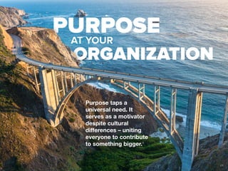 Purpose taps a
universal need. It
serves as a motivator
despite cultural
differences – uniting
everyone to contribute
to something bigger.3
23
 