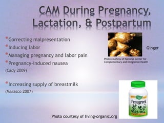 *Correcting malpresentation
*Inducing labor
*Managing pregnancy and labor pain
*Pregnancy-induced nausea
(Cady 2009)
*Increasing supply of breastmilk
(Marasco 2007)
Photo courtesy of National Center for
Complementary and Integrative Health
Ginger
Photo courtesy of living-organic.org
 