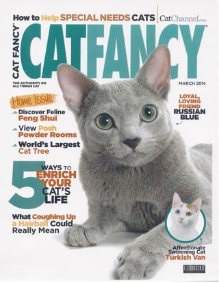 Cat Fancy Guinness World Record Article