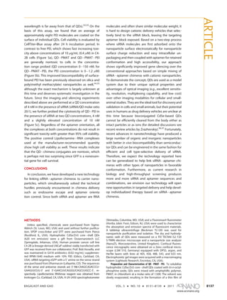 BAGALKOT AND GAO VOL. 5 ’ NO. 10 ’ 8131–8139 ’ 2011
www.acsnano.org
8137
wavelength is far away from that of QDs).32,33
On the
basis of this assay, we found that on average of
approximately eight PEI molecules are coated on the
surface of individual QDs. Cell viability is evaluated by
CellTiter-Blue assay after 24 h incubation period. In
contrast to free PEI, which shows fast increasing toxi-
city above concentrations of 10 μg/mL (0.4 μM) in C4-
2B cells (Figure 5a), QDÀPMAT and QDÀPMATÀPEI
are generally nontoxic to cells in the concentra-
tion range probed (QD concentration 0À150 nM; for
QDÀPMATÀPEI, the PEI concentration is 0À1.2 μM)
(Figure 5b). This improved biocompatibility of surface-
bound PEI has been previously observed on silica and
poly(methyl methacrylate) nanoparticles as well,34,35
although the exact mechanism is largely unknown at
this time and deserves systematic investigation in the
future. Since the imaging and silencing experiments
described above are performed at a QD concentration
of 4 nM in the presence of siRNA (siRNA/QD molar ratio
20:1), we further probed the cytotoxicity of QDÀPEI in
the presence of siRNA at two QD concentrations, 4 nM
and a slightly elevated concentration of 10 nM
(Figure 5c). Regardless of the aptamer orientation, all
the complexes at both concentrations do not result in
signiﬁcant toxicity with greater than 95% cell viability.
The positive control LipofectamineÀRNA complexes
used at the manufacturer-recommended quantity
show high cell viability as well. These results indicate
that the QDÀchimera conjugates are nontoxic, which
is perhaps not too surprising since GFP is a nonessen-
tial gene for cell survival.
CONCLUSIONS
In conclusion, we have developed a new technology
for linking siRNAÀaptamer chimeras to carrier nano-
particles, which simultaneously solved the technical
hurdles previously encountered in chimera delivery
such as endosome escape and aptamer orienta
tion control. Since both siRNA and aptamer are RNA
molecules and often share similar molecular weight, it
is hard to design cationic delivery vehicles that selec-
tively bind to the siRNA block, leaving the targeting
aptamer block exposed. Based on a two-step process
where siRNA molecules are ﬁrst adsorbed onto the
nanoparticle surface electrostatically for nanoparticle
surface charge reduction and easy intracellular un-
packaging and then coupled with aptamer for retained
conformation and high accessibility, our approach
shows signiﬁcantly improved gene silencing over the
conventional approaches based on simple mixing of
siRNAÀaptamer chimeras with cationic nanoparticles.
To demonstrate the concept, QDs are used as a model
system due to their unique optical properties and
advantages of optical imaging (e.g., excellent sensitiv-
ity, resolution, multiplexing capability, and low cost)
over other imaging modalities for cellular and small-
animal studies. They are the ideal tool for discovery and
validation in cells and small animals, but their potential
uses in humans as drug delivery vehicles are unclear at
this time because bioconjugated CdSe-based QDs
cannot be eﬃciently cleared from the body either as
intact particles or as ions (for detailed discussions see
recent review articles by Zrazhevskiy).36,37
Fortunately,
recent advances in nanotechnology have produced a
large number of organic and inorganic nanoparticles
with better in vivo biocompatibility than semiconduc-
tor QDs and can be engineered in the same fashion for
eﬃcient and cell type-selective delivery of siRNA.
Therefore, we expect the technology reported here
can be generalized to help link siRNAÀaptamer chi-
meras with other types of nanoparticles in favorable
conformation. Furthermore, as current research in
biology and high-throughput screening produces
more and more siRNA and aptamer sequences and
combinations, we envision our technology will open
new opportunities in targeted delivery and help devel-
op individualized therapy based on siRNAÀaptamer
chimeras.
METHODS
Unless speciﬁed, chemicals were purchased from Sigma-
Aldrich (St. Louis, MO, USA) and used without further puriﬁca-
tion. SPDP cross-linker and DTT were purchased from Pierce
(Rockford, IL, USA). Hydrophobic CdSe/ZnS coreÀshell QDs
(620 nm emission) were a gift from Oceannanotech LLC
(Springdale, Arkansas, USA). Human prostate cancer cell line
C4-2B (a lineage-derived LNCaP subline) stably transfected with
GFP was received from our collaborator, Prof. Bob Vessella, and
was maintained in G418 antibiotics (0.02 mg/mL) supplemen-
ted RPMI-1640 medium with 10% FBS (Gibco, Carlsbad, CA,
USA). siRNA targeting eGFP with a 50
amine on the sense strand
was purchased from Dharmacon (Lafayette, CO). The sequences
of the sense and antisense strands are 50
-N6-CAAGCUGACCCU-
GAAGUUCUU-30
and 50
-GAACUUCAGGGUCAGCUUGCC-30
, re-
spectively. Lipofectamine RNAimax reagent was obtained from
Invitrogen Co. (Carlsbad, CA, USA). A UV-2450 spectrophotometer
(Shimadzu, Columbia, MD, USA) and a Fluoromax4 ﬂuorometer
(Horiba Jobin Yvon, Edison, NJ, USA) were used to characterize
the absorption and emission spectra of ﬂuorescent materials.
A tabletop ultracentrifuge (Beckman TL120) was used for
nanoparticle puriﬁcation and isolation. The dry and hydrody-
namic radii of QDs were measured on a FEI TECNAI G2 F20
S-TWIN electron microscope and a nanoparticle size analyzer
(NanoZS, Worcestershire, United Kingdom). Confocal ﬂuores-
cence micrographs were obtained on a Zeiss confocal micro-
scope (LSM 510, Germany) equipped with DPSS, argon, and
He/Ne lasers with lines at 405, 458, 488, 543, and 633 nm.
Electrophoretic gel images were acquired with a macroimaging
system (Lightools Research, Encinitas, CA, USA).
Preparation and Characterization of QDÀPMATÀPEI. To solubilize
hydrophobic CdSe/ZnS coreÀshell QDs coated with tri-n-octyl-
phosphine oxide, QDs were mixed with amphiphillic polymer,
PMAT, in chloroform at a molar ratio of 1:500. The solvent was
slowly evaporated, resulting in the formation of a thin film of
ARTICLE
 