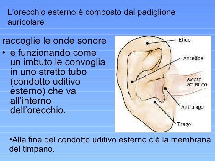 4 grado di unacne questo