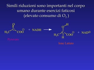 Simili riduzioni sono importanti nel corpo umano durante esercizi faticosi (elevato consumo di O 2  ) + H 3 C C O COO NADH Ione Lattato + H 3 C C O COO H H NAD Pyruvato 