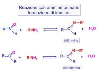 Reazione con ammine primarie formazione di immine  R C O H R’N H 2 + R C H N R’ + H 2 O aldimmina R C O R R’N H 2 + R C R N R’ + H 2 O chetimmina 