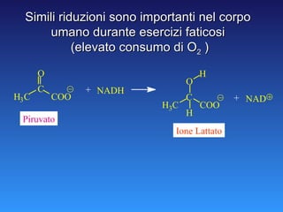 Simili riduzioni sono importanti nel corpo umano durante esercizi faticosi (elevato consumo di O 2  ) + H 3 C C O COO NADH Ione Lattato + H 3 C C O COO H H NAD Piruvato 