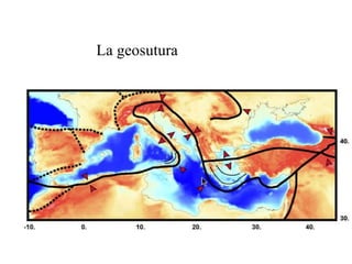 La geosutura 