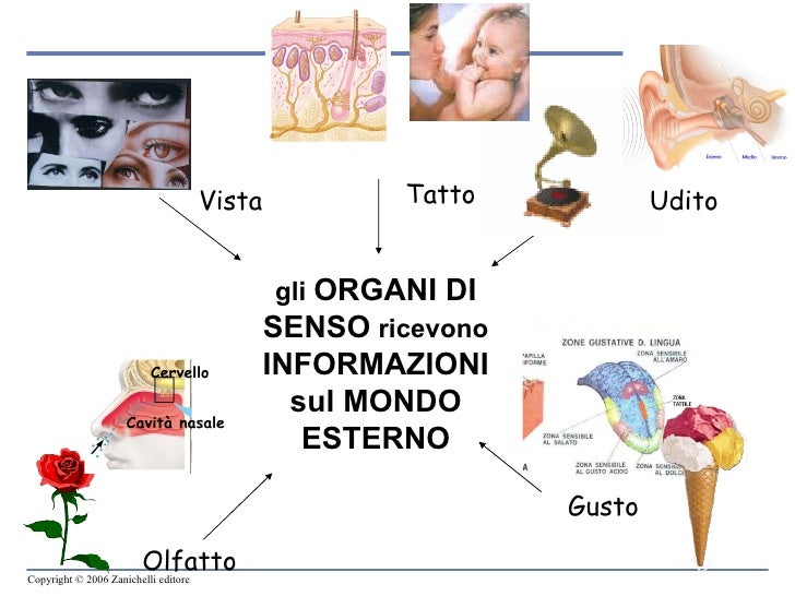 Agli Organi Di Vigilanza Pubblici Spettano