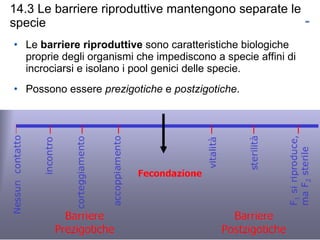 14.3 Le barriere riproduttive mantengono separate le specie Le  barriere riproduttive  sono caratteristiche biologiche proprie degli organismi che impediscono a specie affini di incrociarsi e isolano i pool genici delle specie. Possono essere  prezigotiche  e  postzigotiche . 